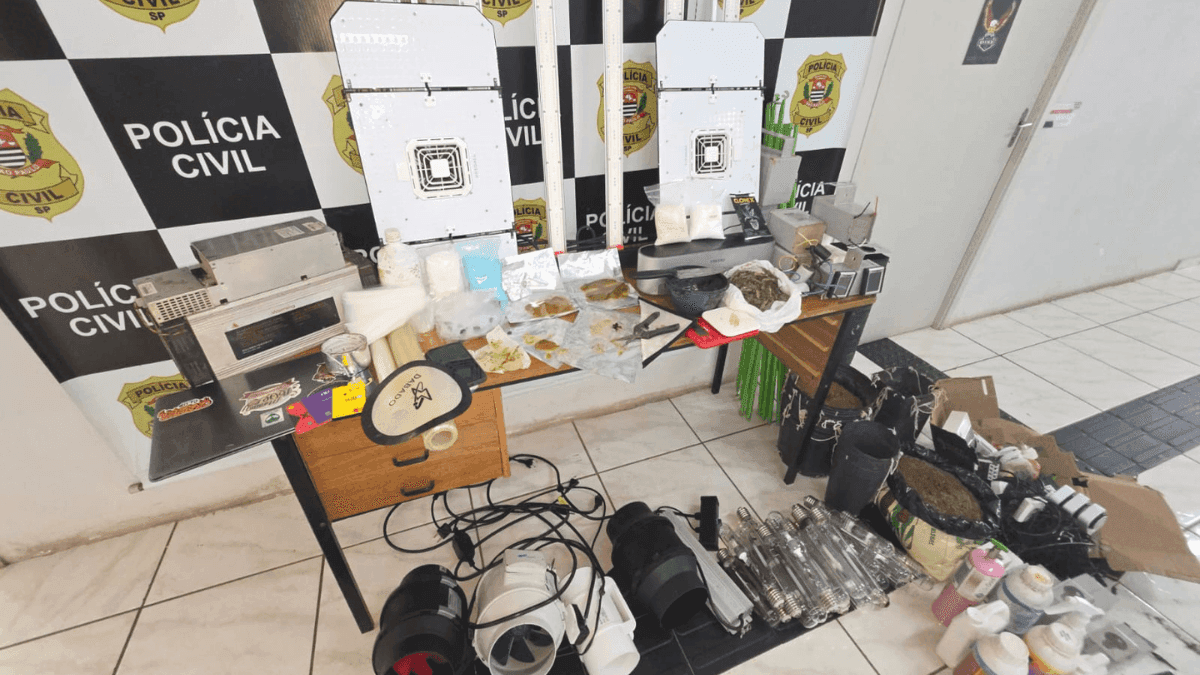 Itens apreendidos durante o cumprimento dos mandados