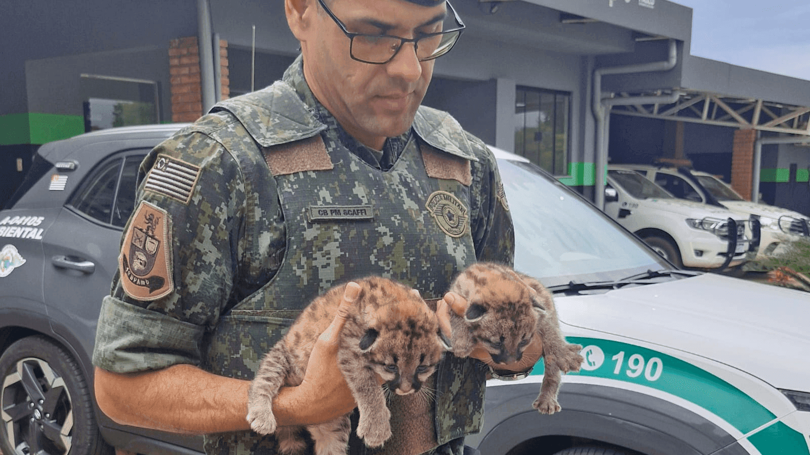 Os animais foram levados para o Zoobotânico de Rio Preto