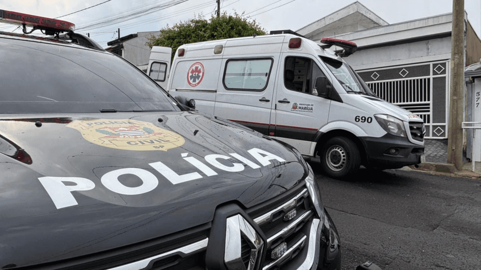 A denúncia de agressão foi feita pelos vizinhos da vítima