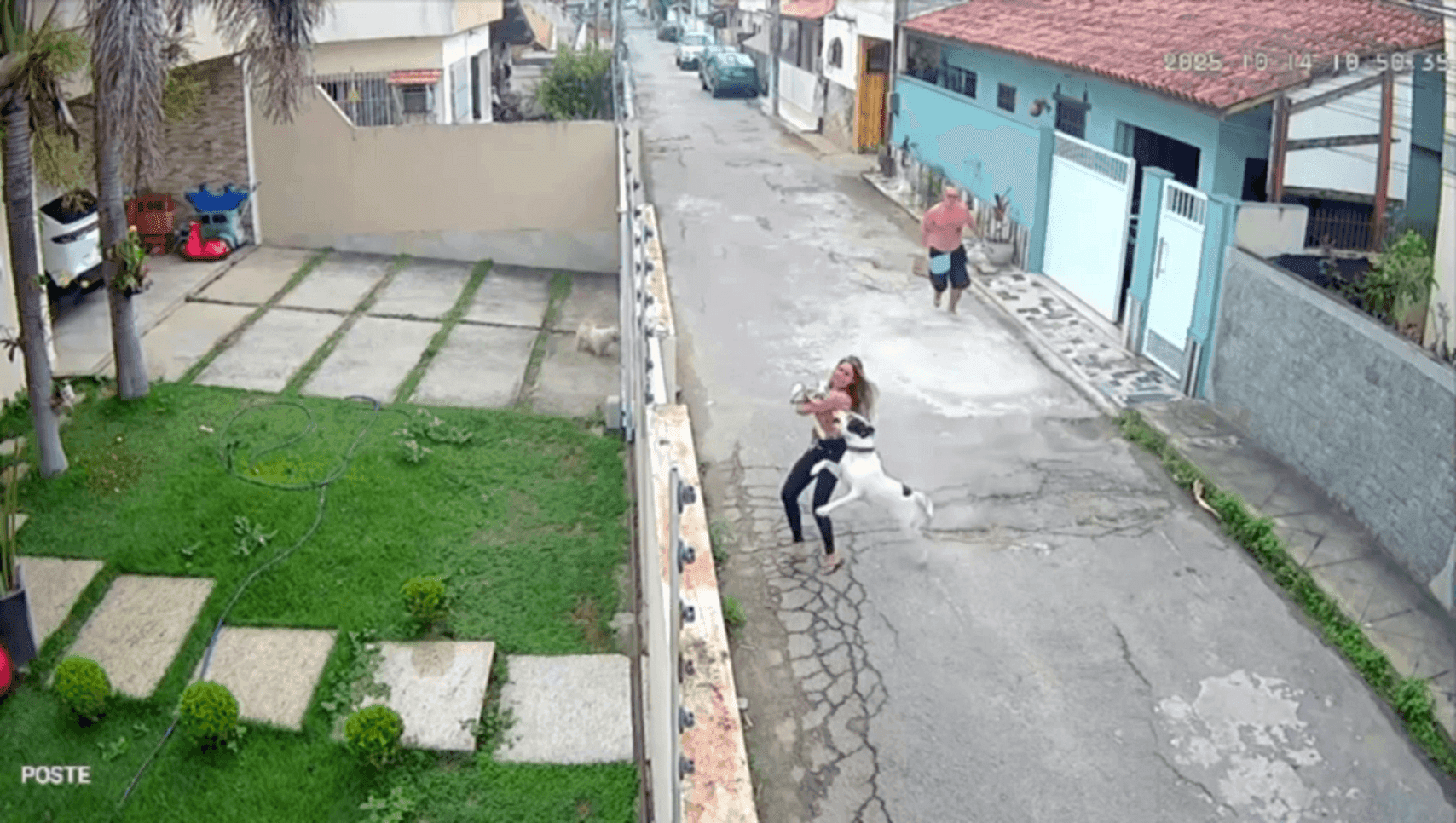 Mulher tentava defender seu cachorro e foi atacada por pitbull