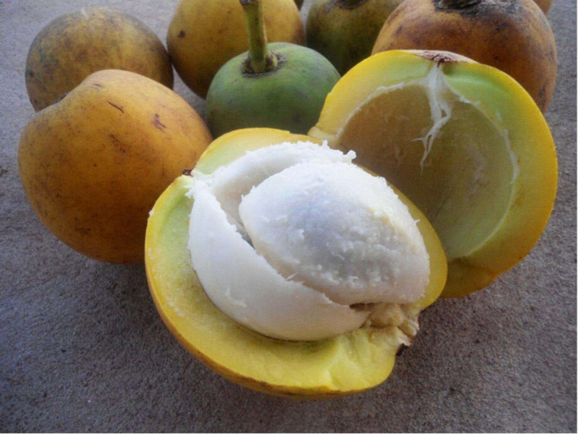 Bacuri é fruta típica da região Norte