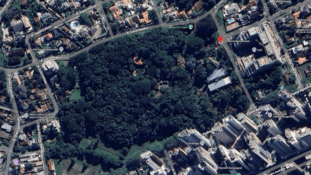 Moradores fazem abaixo-assinado para preservar antigo Bosque da Copel em Curitiba