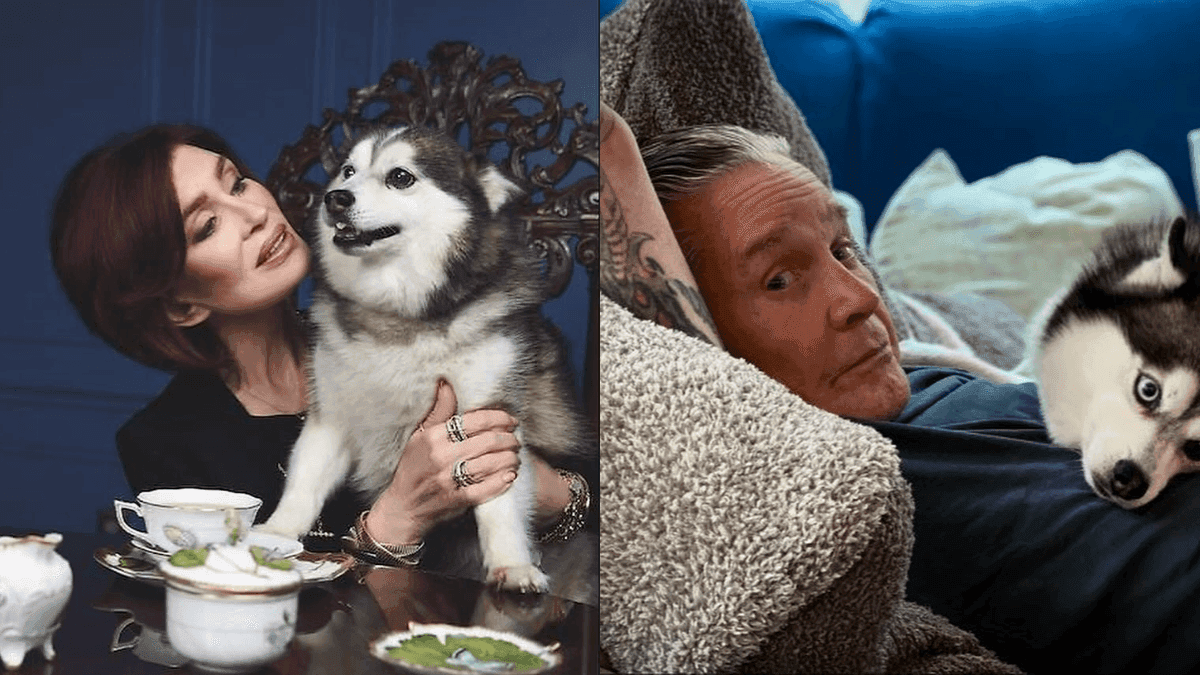 Sharon Osbourne lamenta morte de cachorro da família
