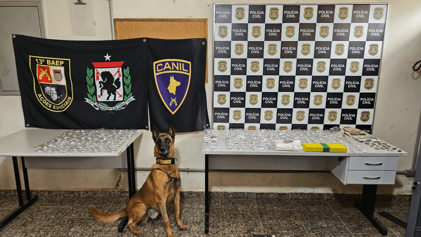 Várias porções de drogas e dinheiro foram encontrados na ação