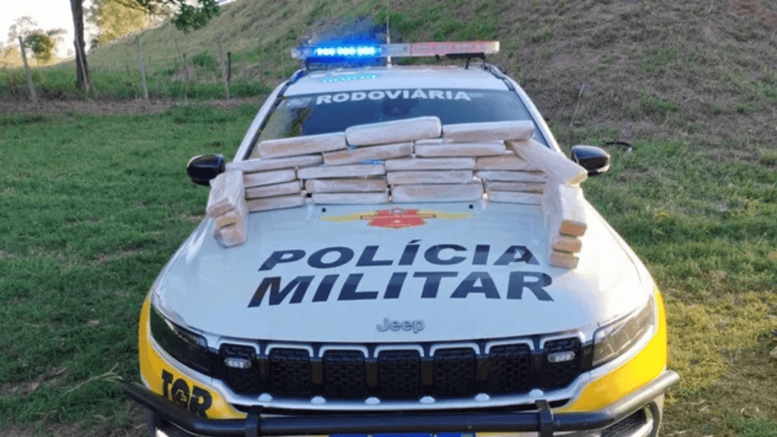Os policiais apreenderam quase 30 quilos de maconha