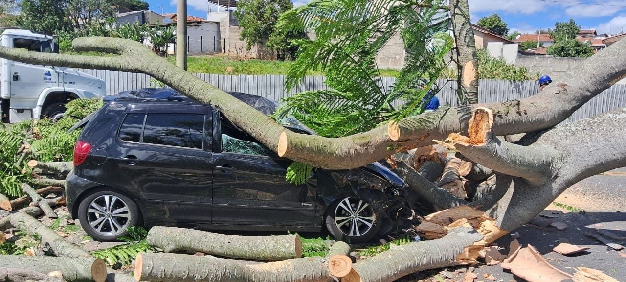 Veículo atingido por árvore no Jardim Morumbi, zona sul de São José