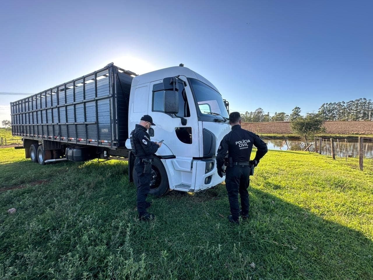 Operação da Polícia Civil prendeu dois suspeitos e cumpriu mandados em Londrina, Ortigueira e Califórnia. Grupo furtou mais de 300 cabeças de gado desde janeiro.