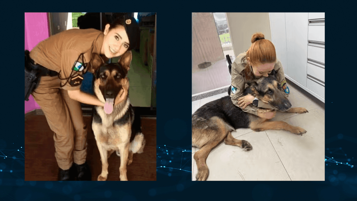 PM se emociona ao se despedir do cão policial Athos, adotado após anos de serviço