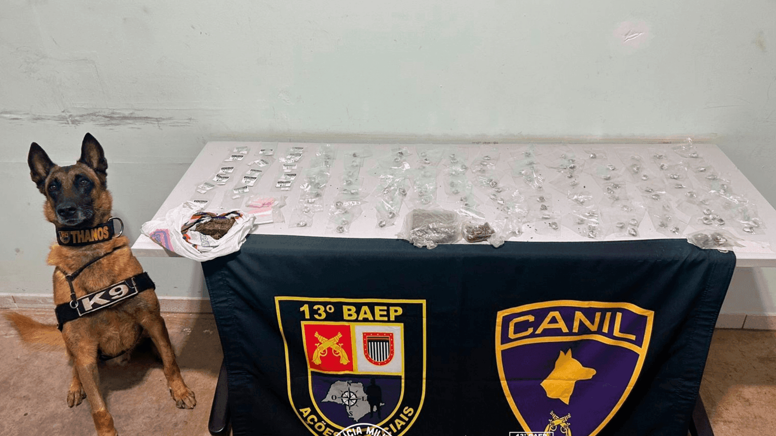 A ocorrência foi apresentada na Central de Polícia Judiciária