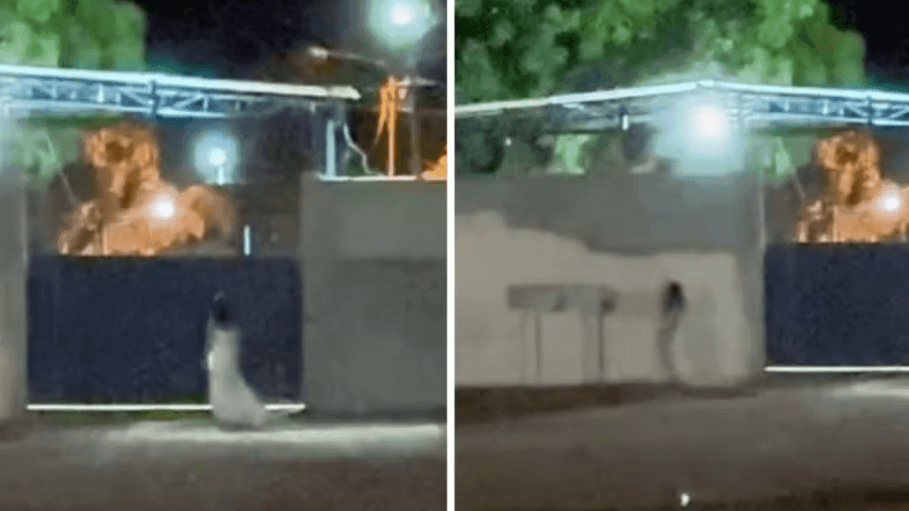 Noiva fantasma é vista andando na frente de cemitério