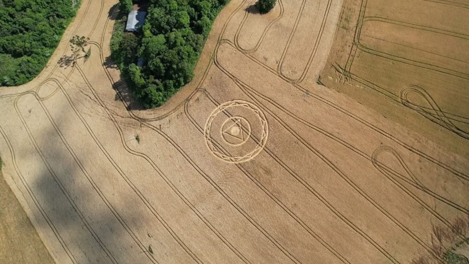 Agroglifos em SC