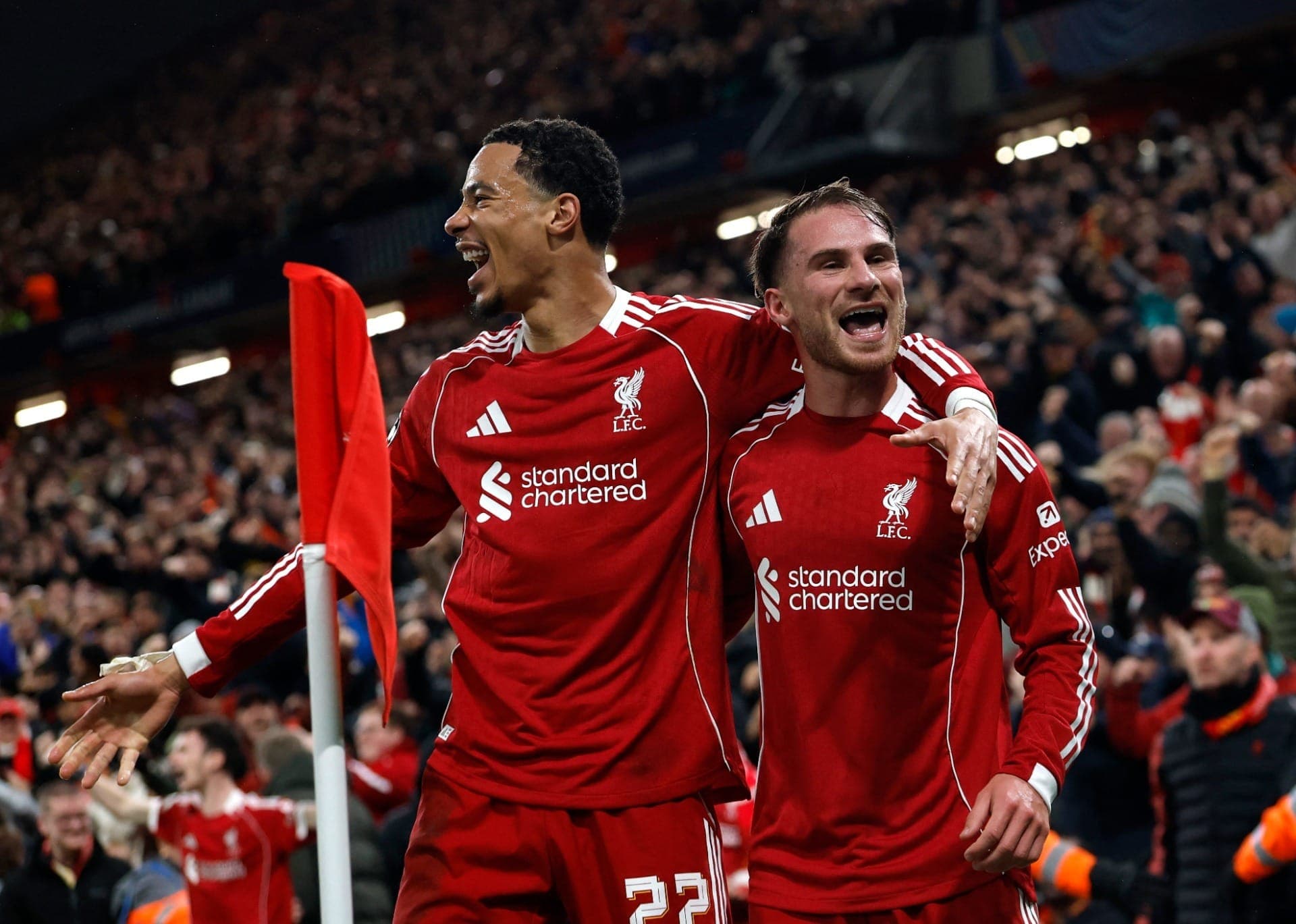 Ekitité e Mac Allister comemoram o gol do Liverpool