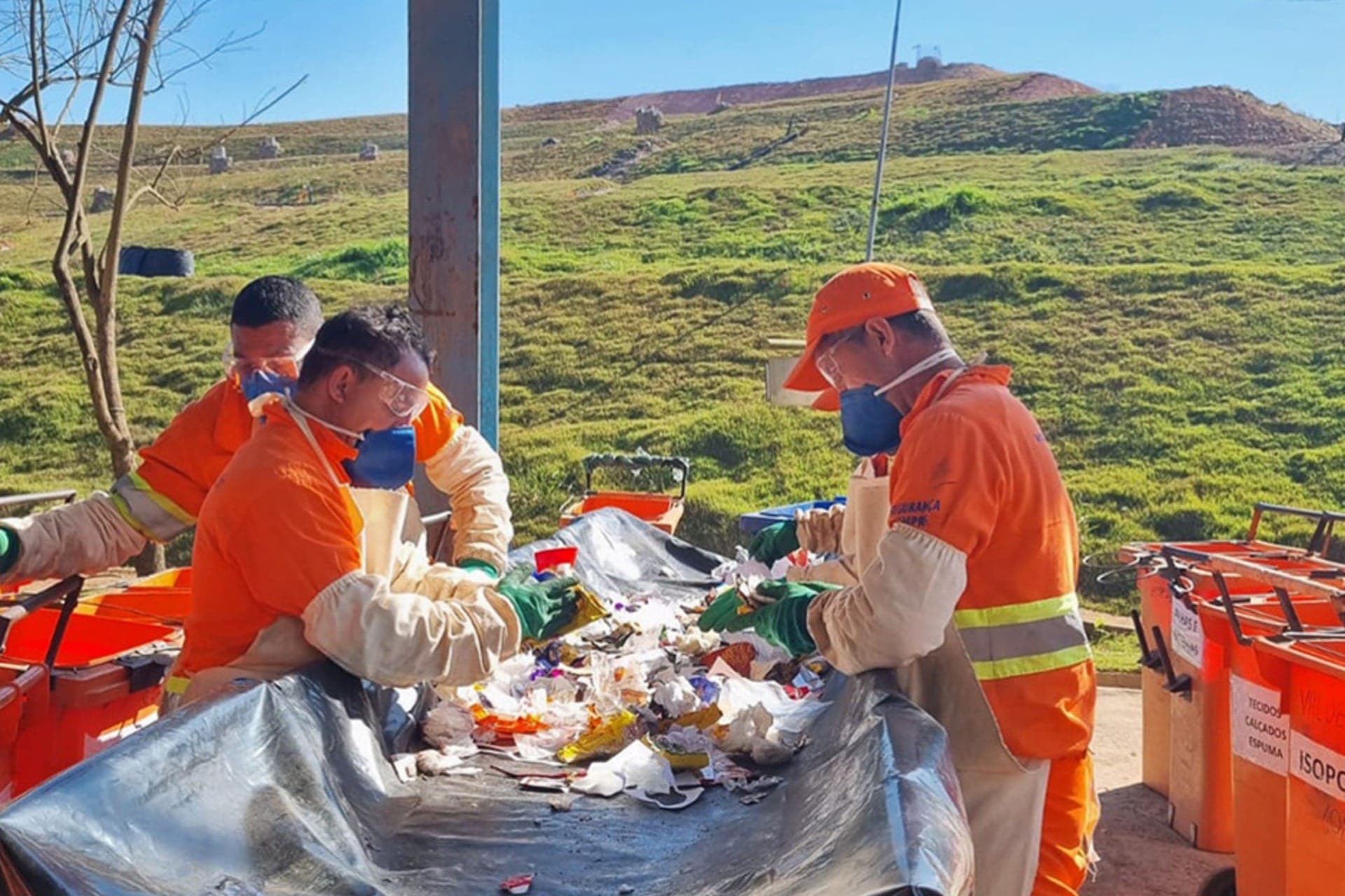 Lixo urbano poderá ser usado para gerar biofertilizante