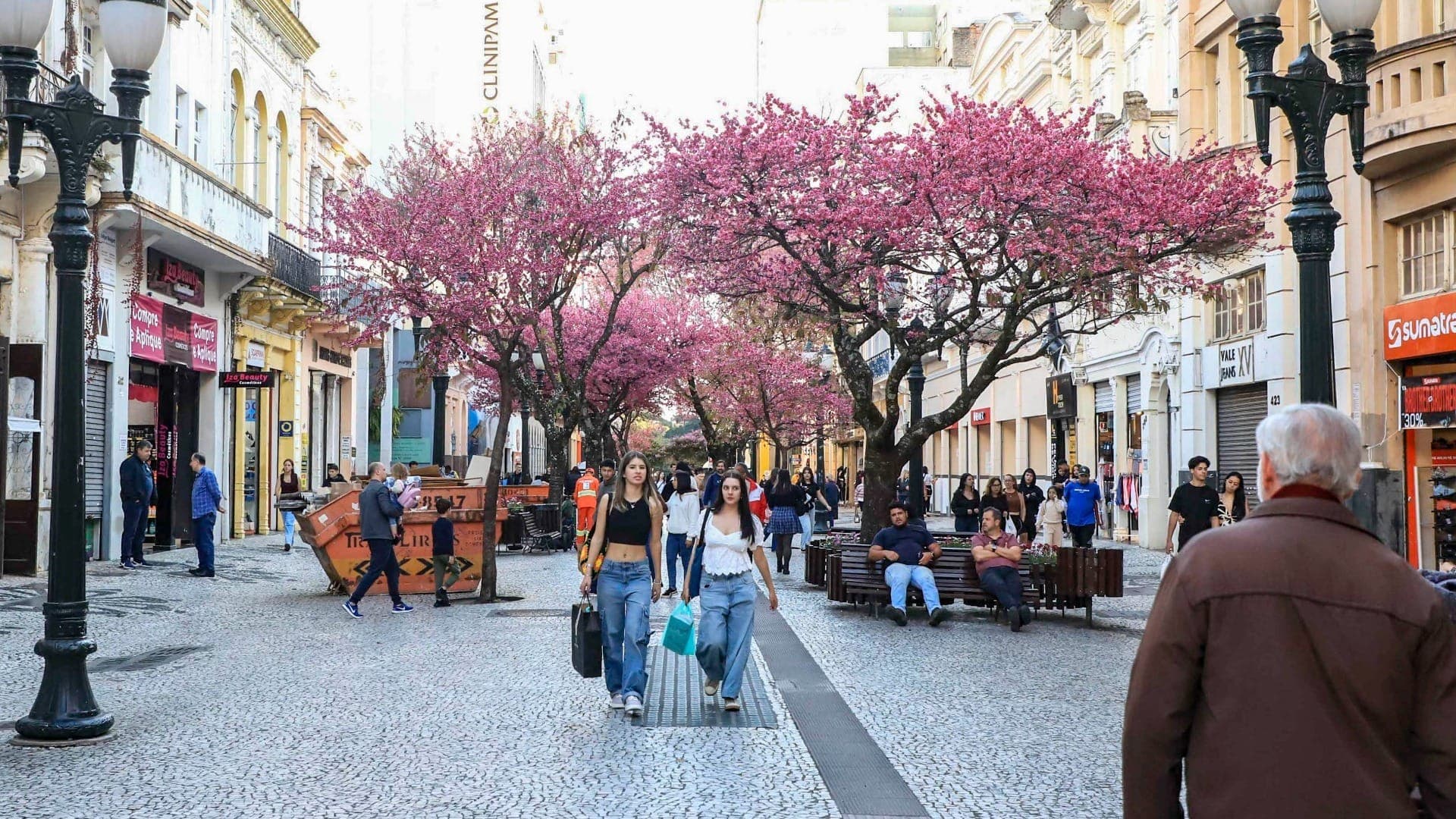 Maria, João e Silva: nomes mais comuns em Curitiba, segundo IBGE