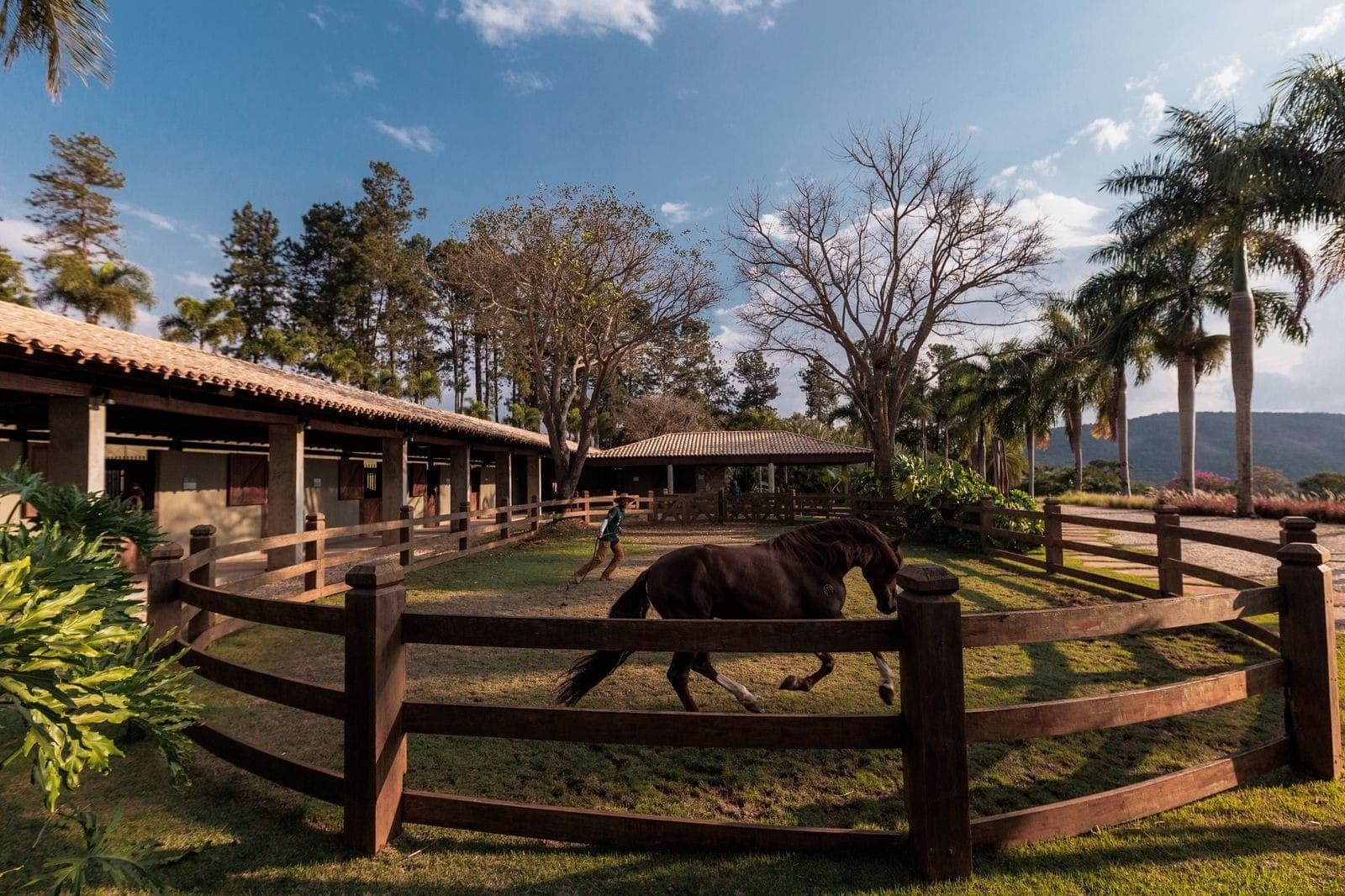 Luxo e cavalos são tendência no setor imobiliário em 2025