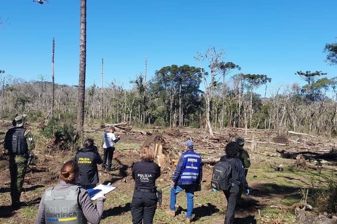 Homem é preso por devastar 106 hectares de mata no Centro-Sul do Paraná