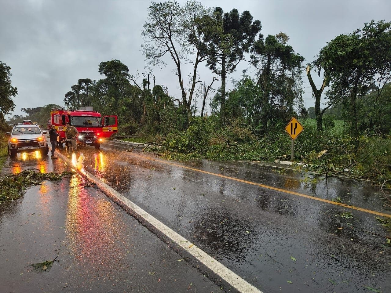 Ventos fortes derrubam árvores e interditam rodovias em SC