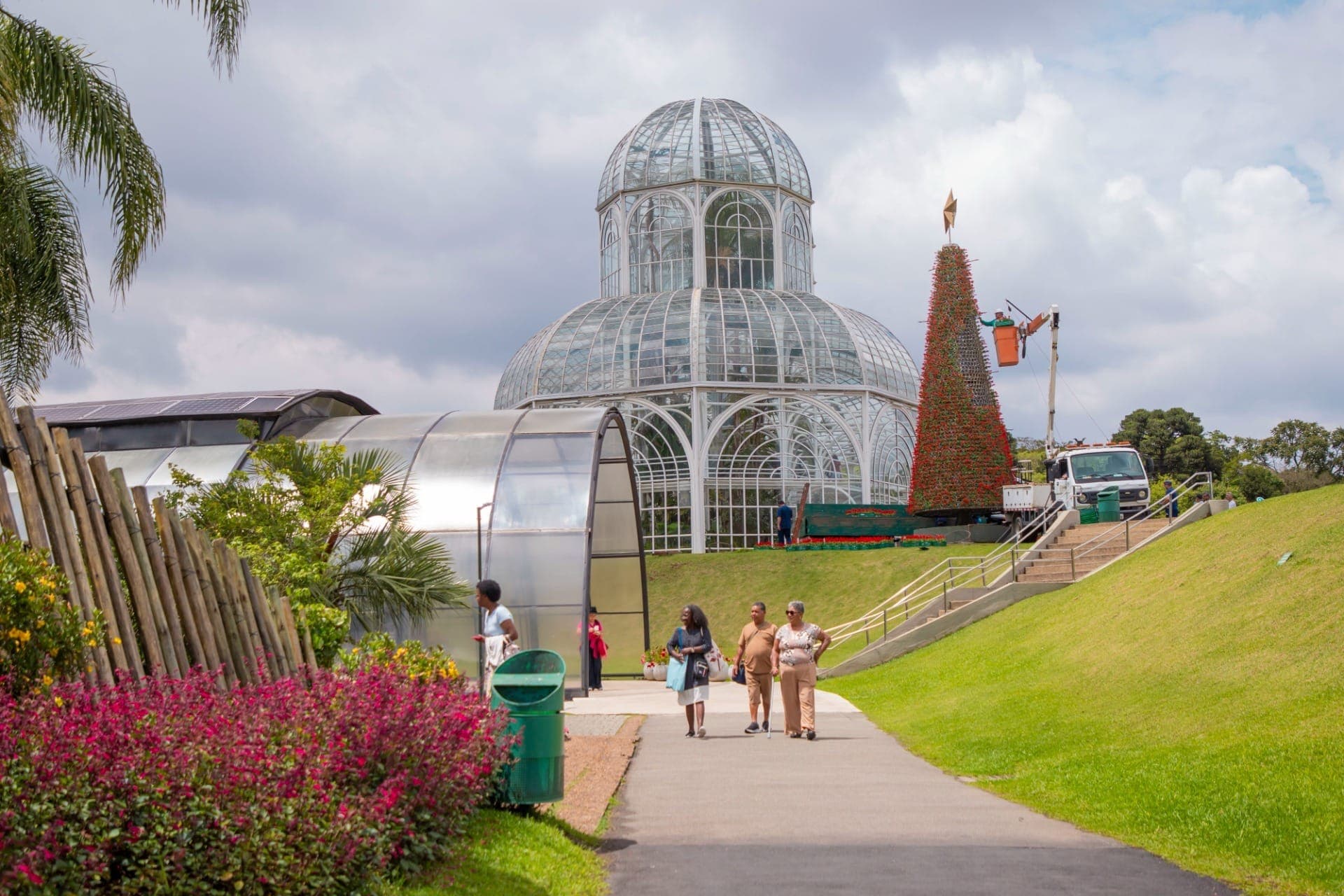 Jardim Botânico recebe árvore viva do Natal de Curitiba