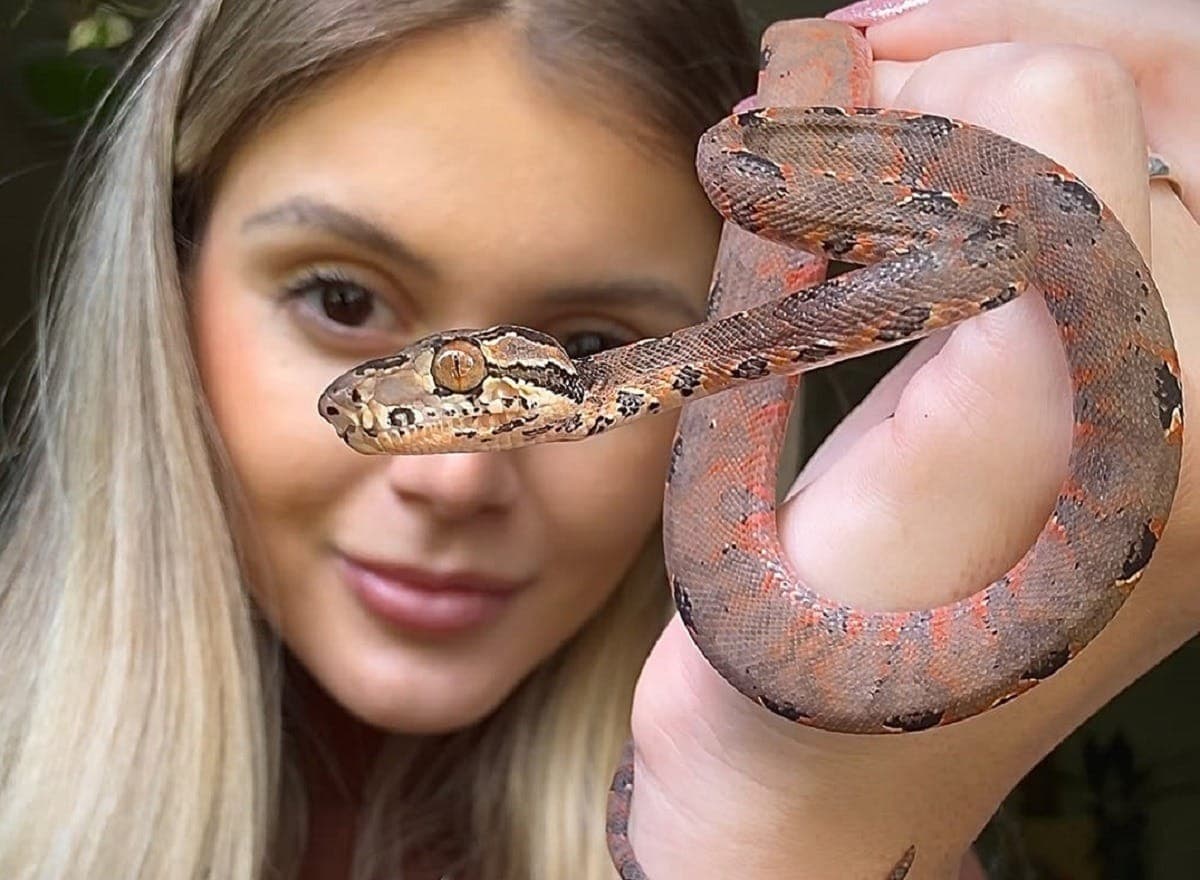 Dianna Duarte: influencer vive com cinco cobras dentro de casa