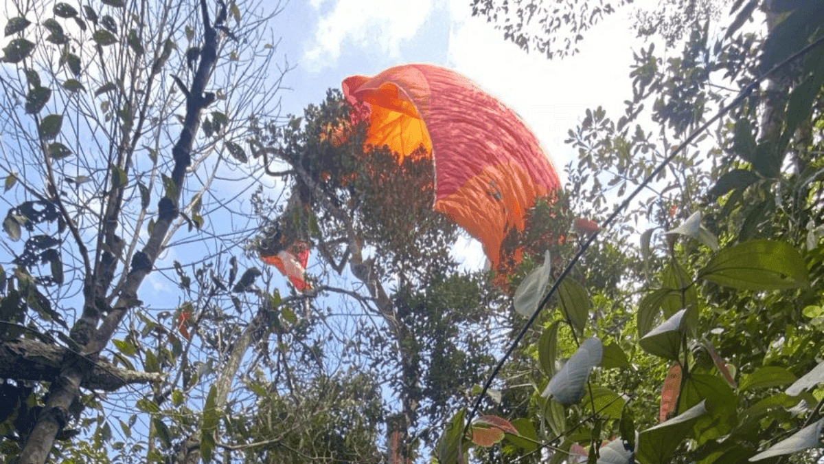 Praticante de Parapente fica preso em meio as árvores