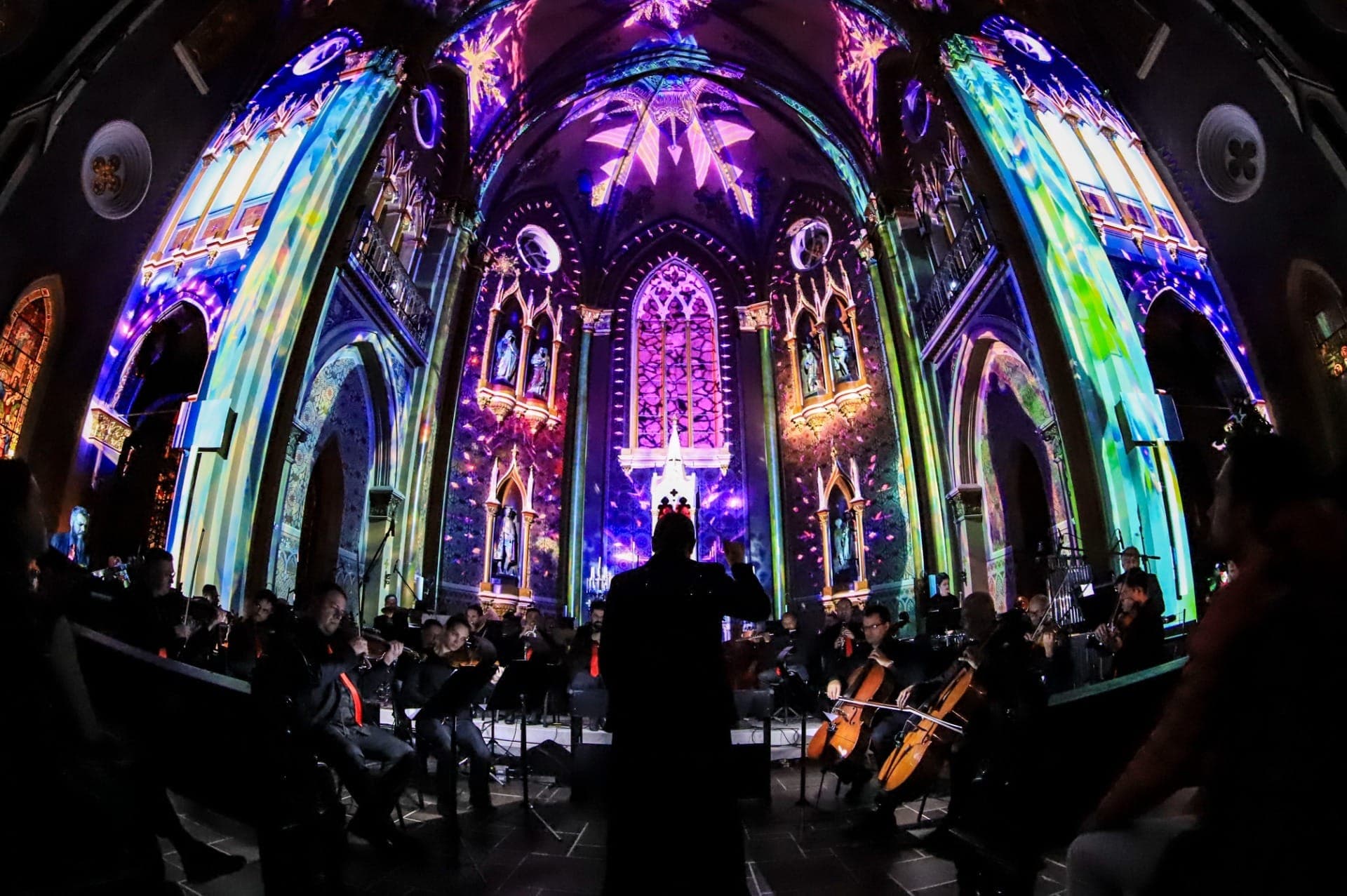 Ingressos gratuitos das primeiras sessões do espetáculo Catedral de Luz se esgotam; novos lotes abrem quarta e sexta