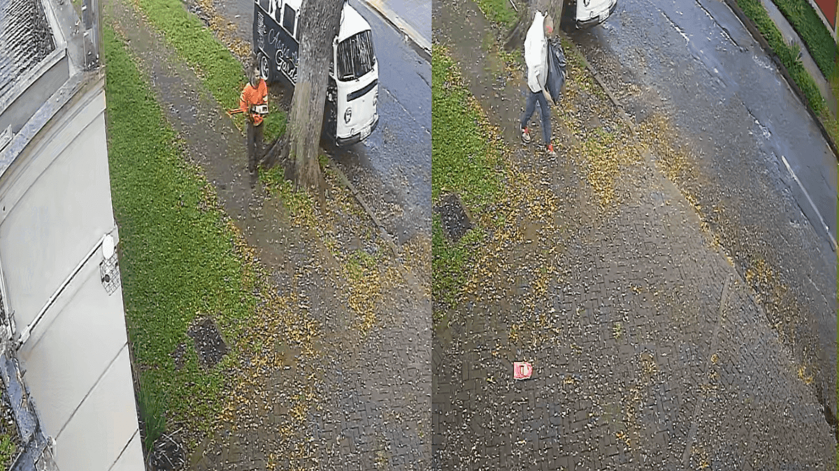 Jardineiros têm equipamentos furtados no bairro Água Verde