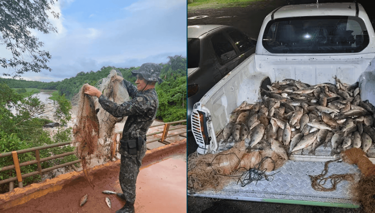 Polícia Ambiental apreende mais de 100 kg de pescados
