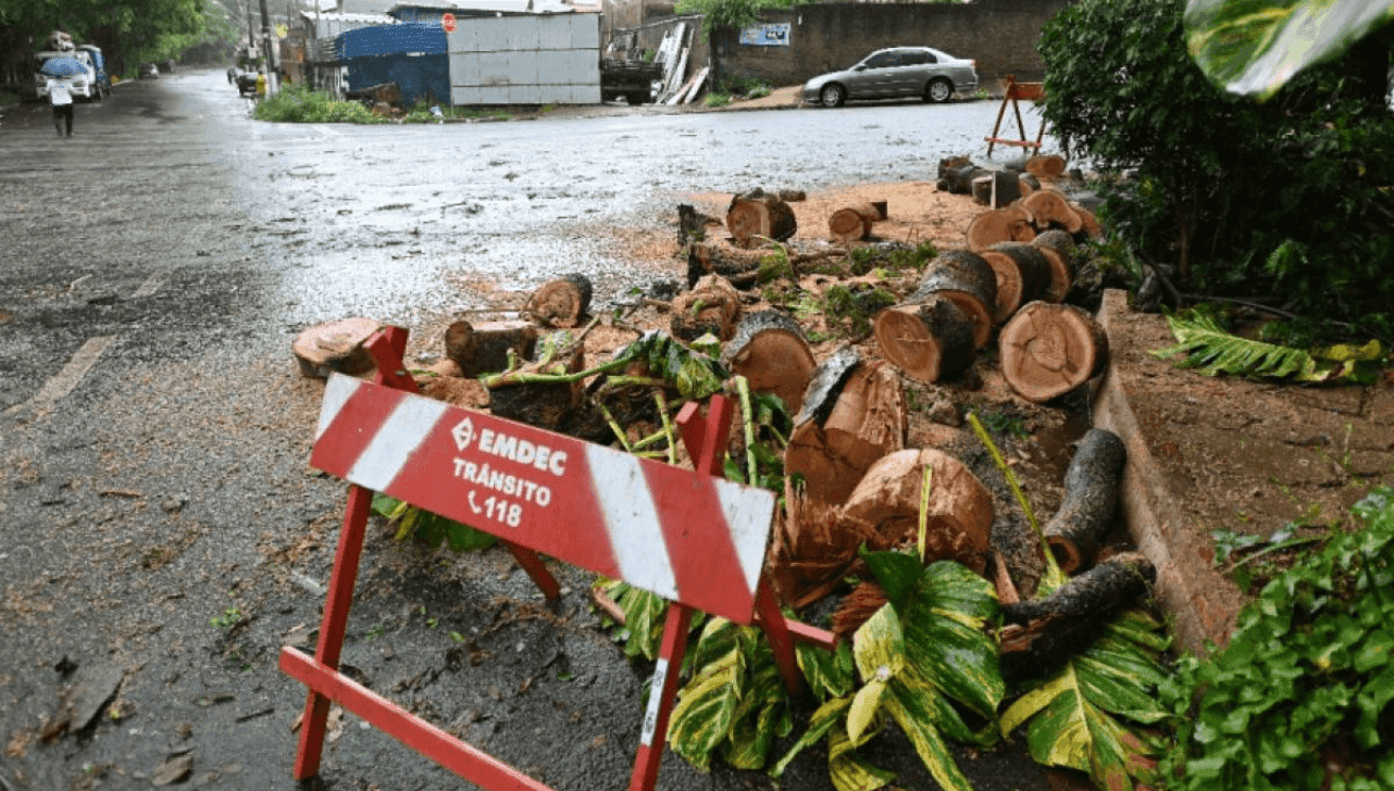 Equipes trabalham para a recolha de material das ruas