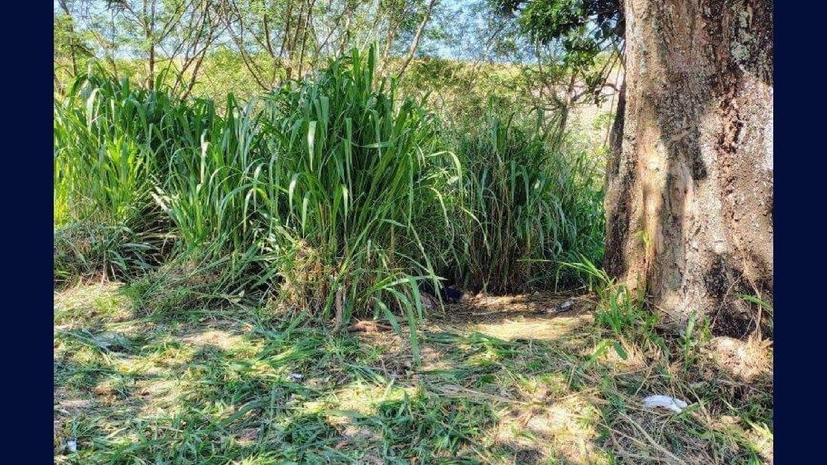 Corpo foi localizado na zona rural de Guaratinguetá