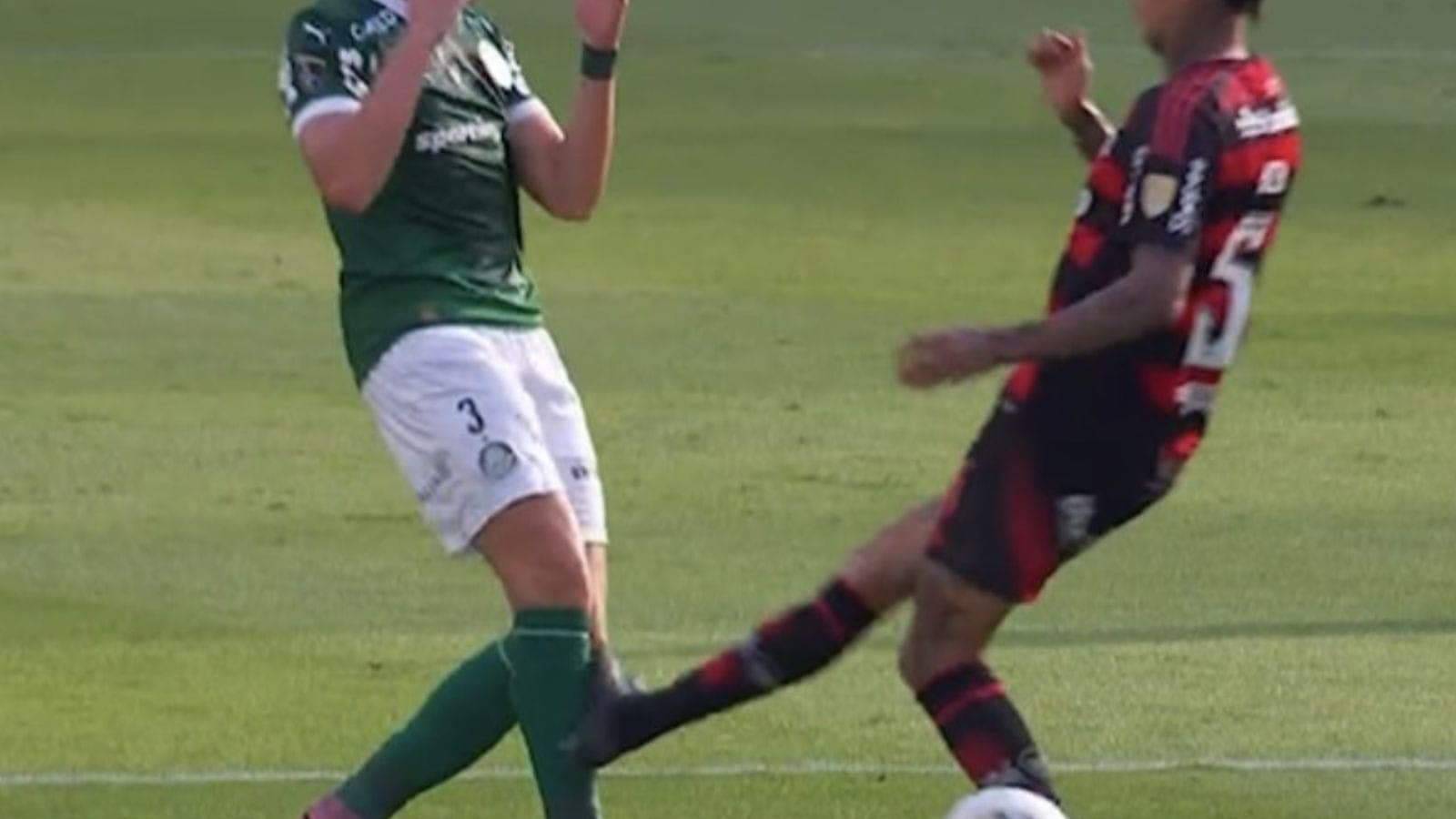 Lance de Pulgar em Bruno Fuchs em Palmeiras x Flamengo