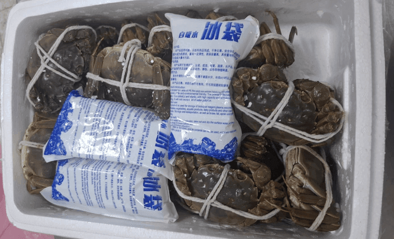 Caranguejo-peludo é localizado em mala de chinesa em SP