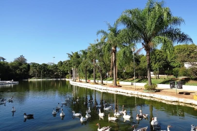 Horto Florestal está entre os parques municipais propostos para concessão