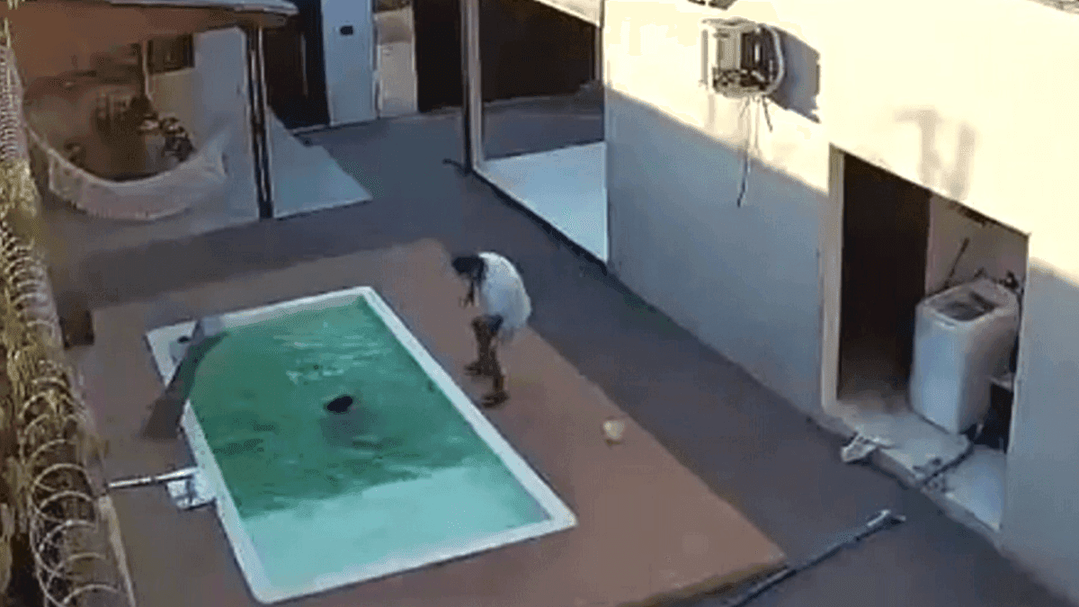 Criança cai em piscina, irmão tenta resgate e pai evita tragédia em Alagoas