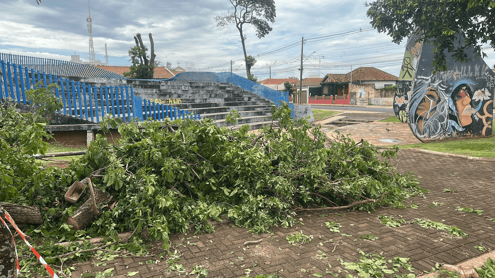 A chuva e ventos fortes derrubaram árvores na cidade