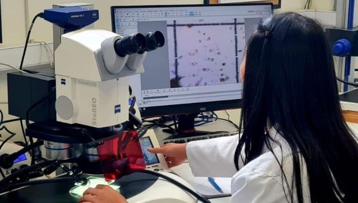 Unifesp realiza estudos sobre efeitos de microplásticos