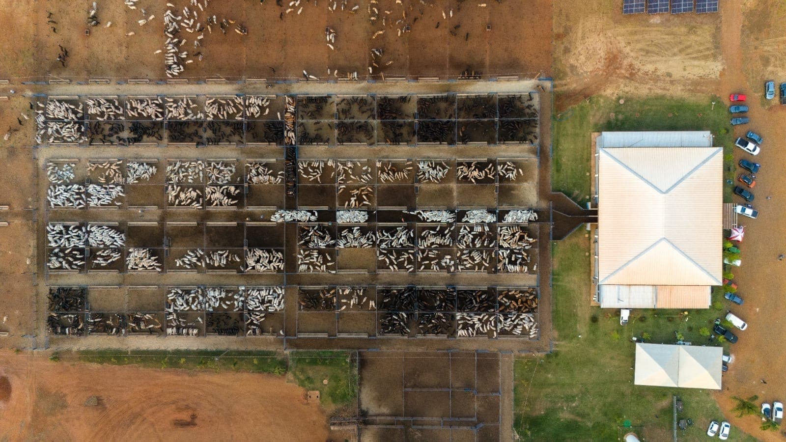 Exportações motivam a agroindústria nacional e Brasil está entre os maiores produtores de rações do mundo