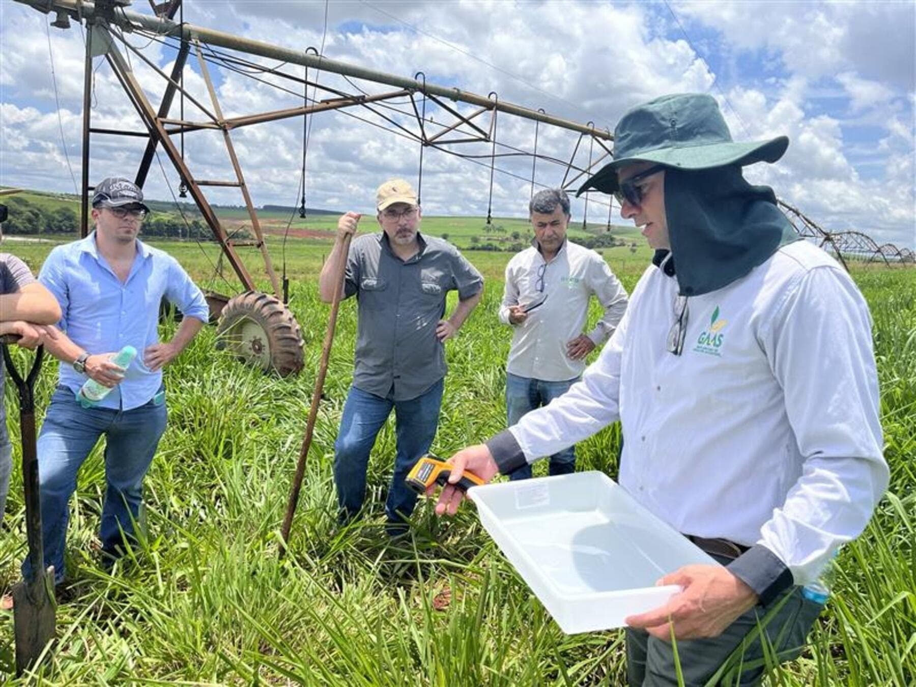 Mercado busca profissionais com conhecimento agronômico e tecnológico