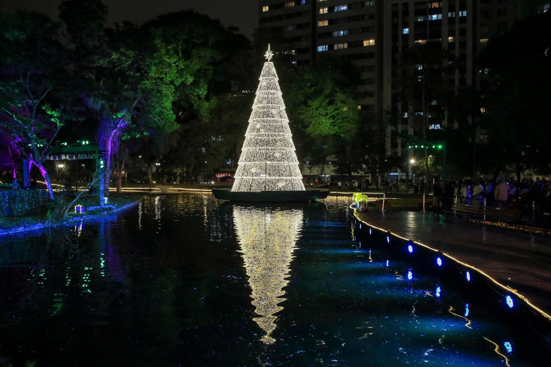 O que fazer no Natal em Curitiba: veja as árvores mais bonitas da cidade