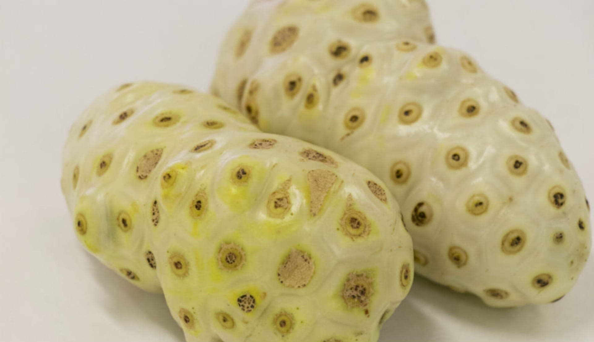Produtos como suco de noni continua proibido no Brasil