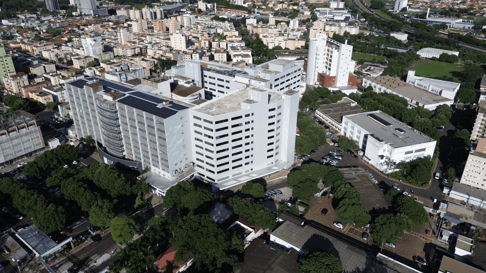 A pesquisa quer aproveitar melhor os rins nos procedimentos