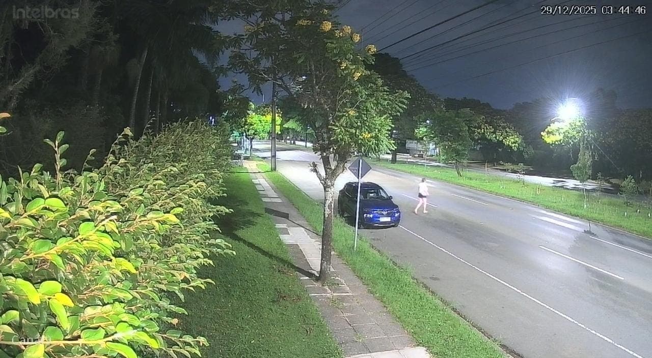 Mulher suspeita de vandalizar mudas em Curitiba é identificada