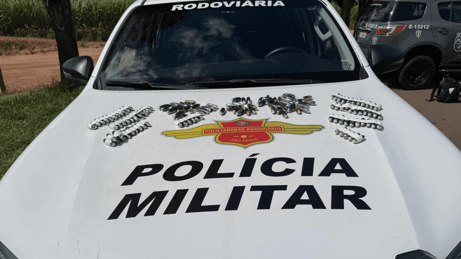 As cápsulas eram transportadas no estômago dos suspeitos