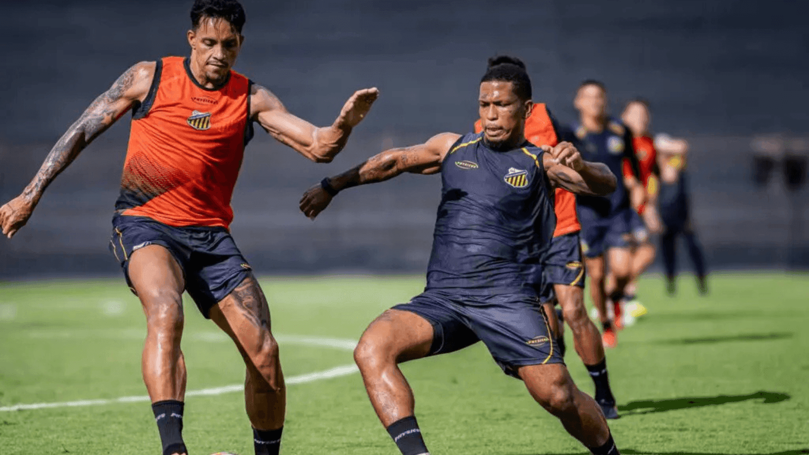 O Tigre do Vale entra em campo contra o Peixe no sábado (10)