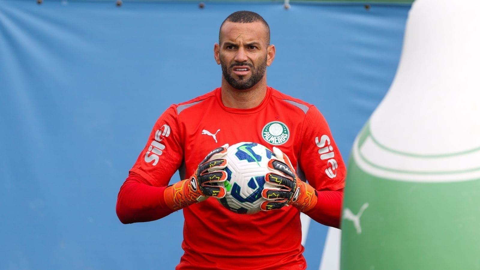 Weverton, goleiro do Palmeiras