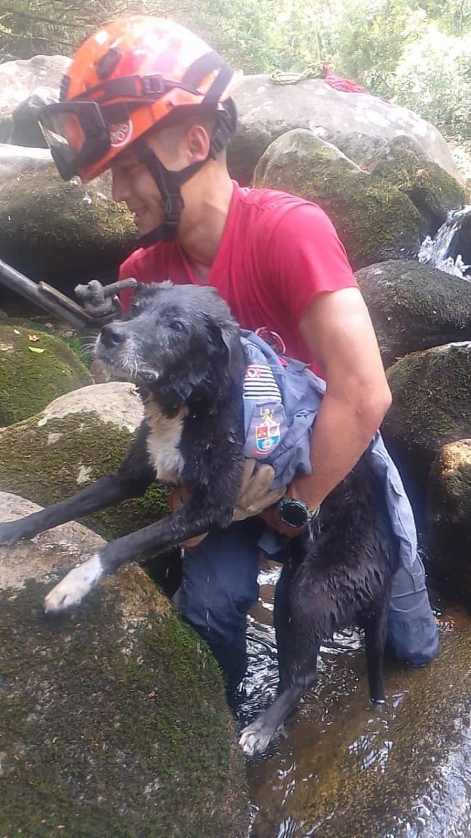 Cadela idosa é resgatada após ficar presa em cachoeira em São Sebastião