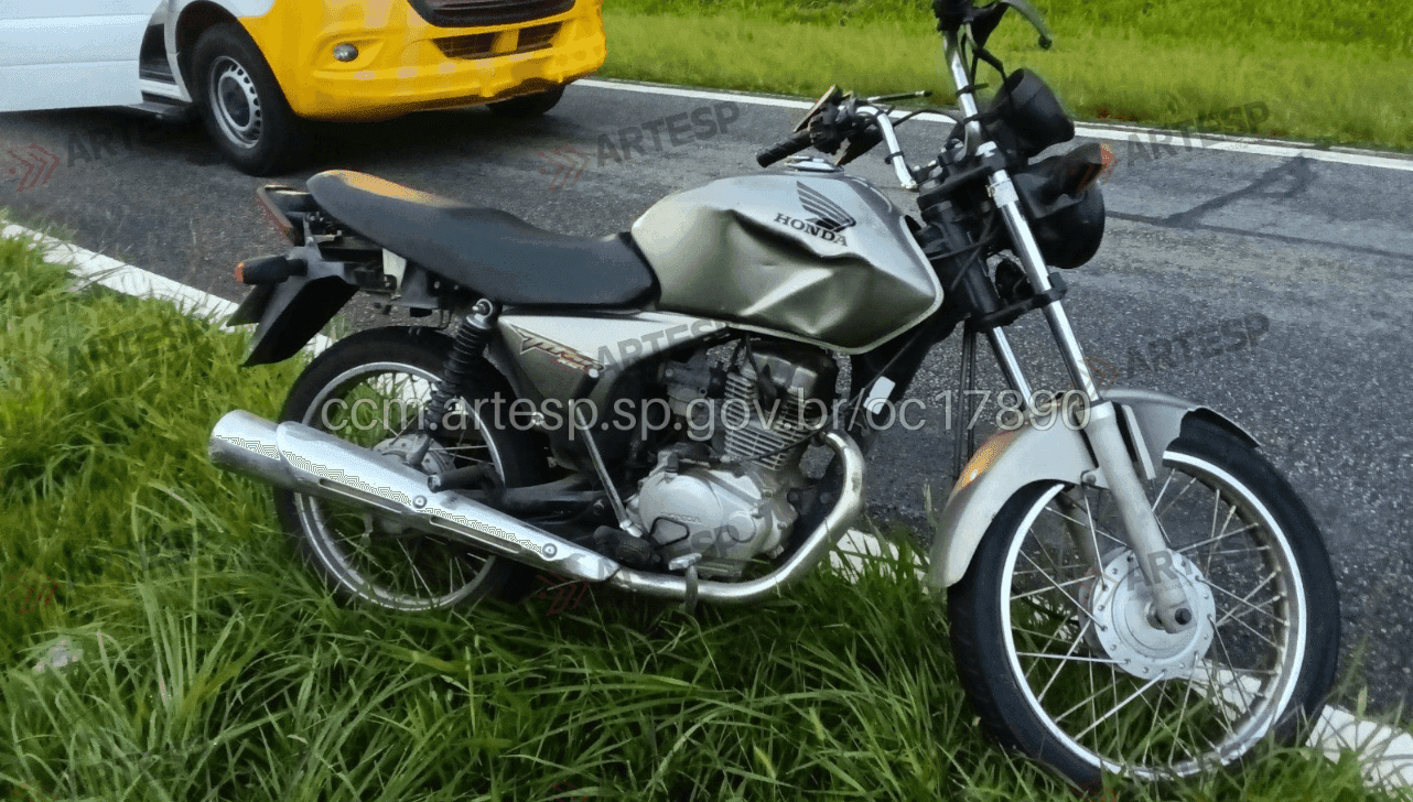 Motociclista morre em Rodovia após atropelar animal