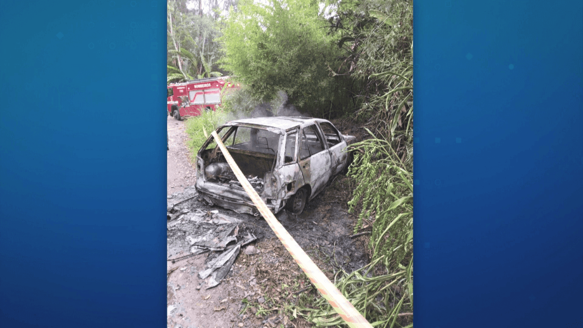 Corpo é encontrado queimado dentro de carro em área de mata na Grande SP