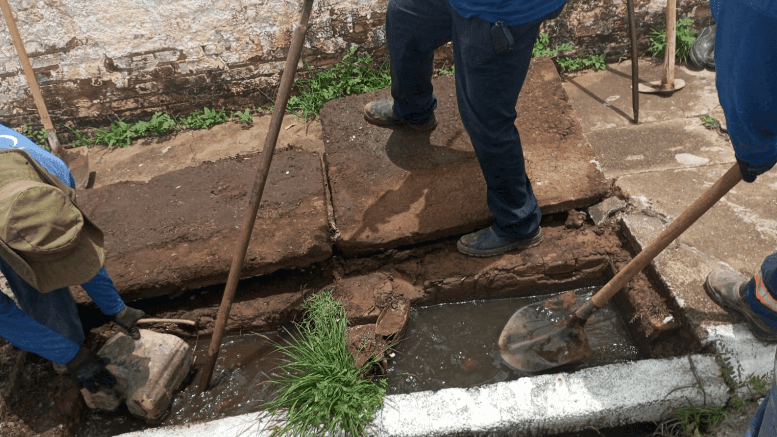 A limpeza é feita em cinco a seis bocas de lobo na rotina