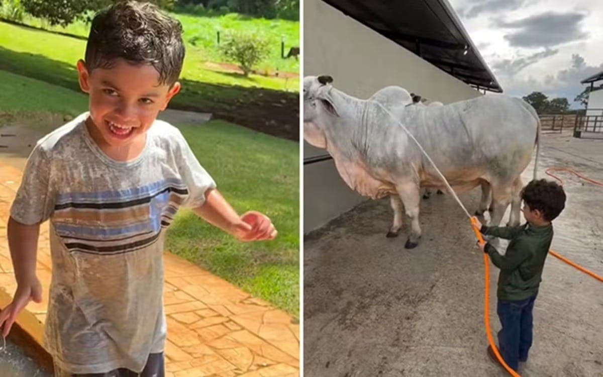 Filho de Marília Mendonça curte momentos na fazenda com o pai, Murilo Huff