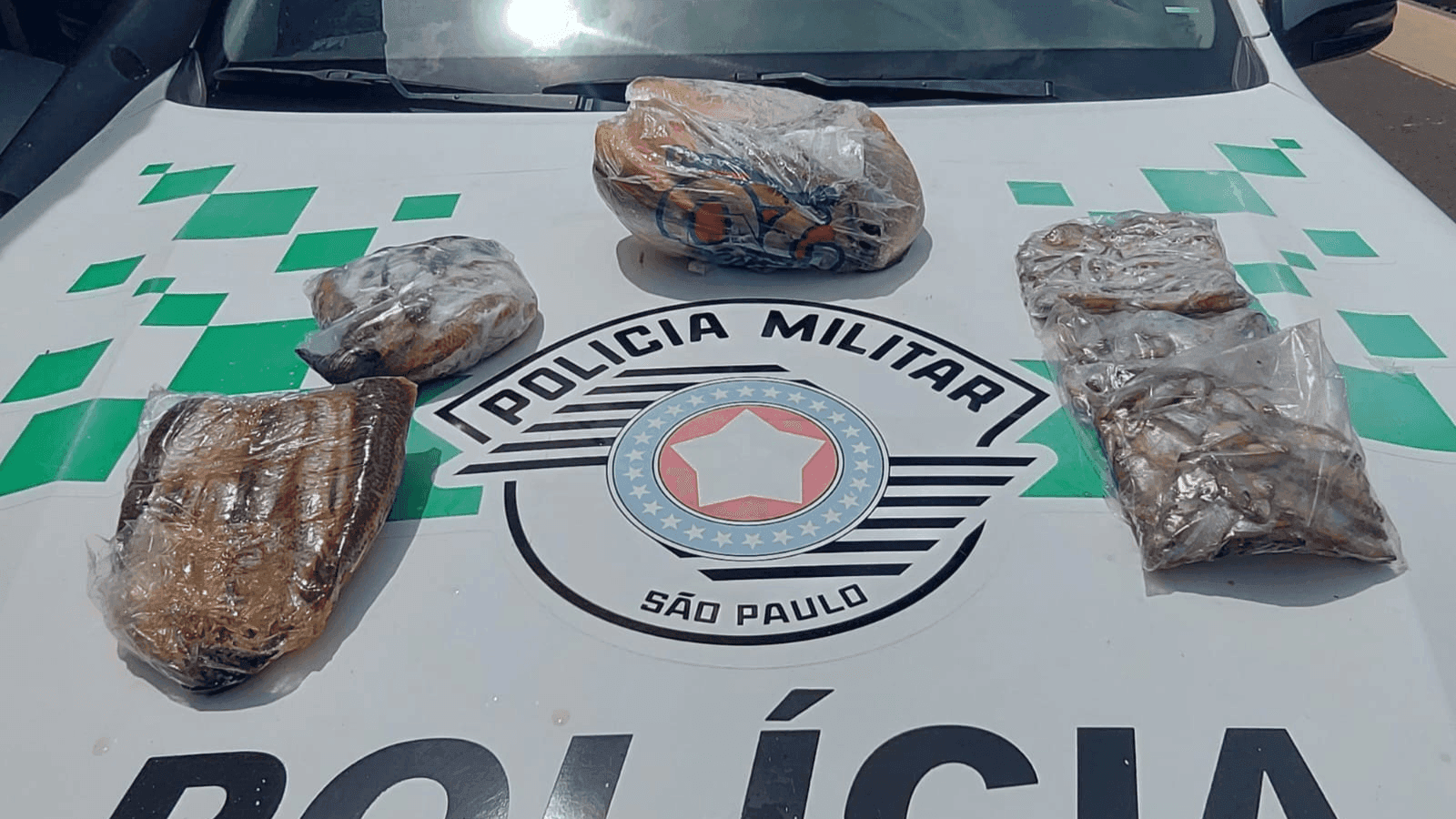 As carnes encontradas não estavam em condições para consumo